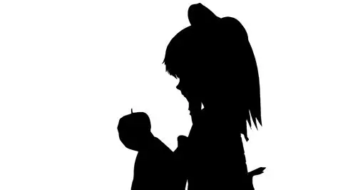 Bad Apple!! - nomico(のみこ)